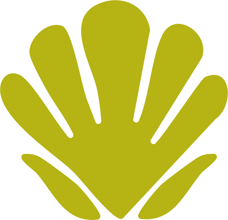 Gillian McGee Studio